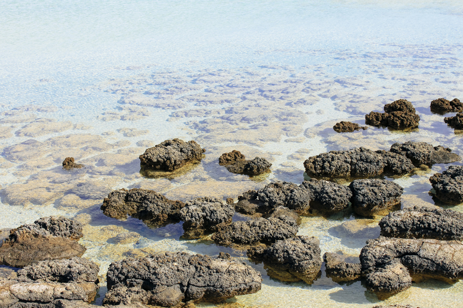 Stromatolites: The Building Blocks of Life